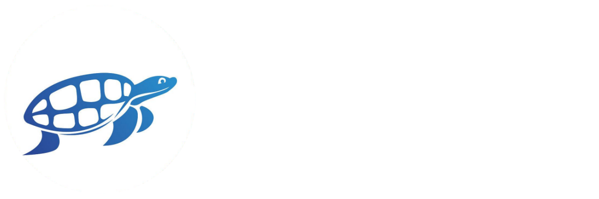 海龟就业网